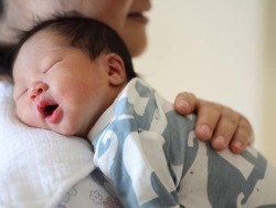 供卵包男孩正规代生公司